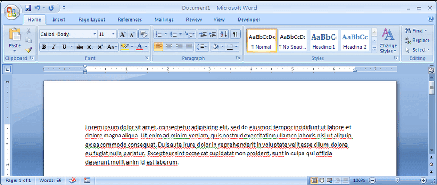 MS Word